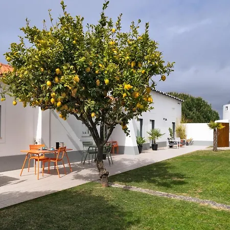 Bed & Breakfast Flamboyant Boutique Caldas Da Rainha